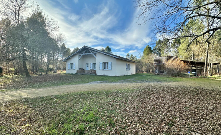 Maison landaise à 20 min de Mont de Marsan 1