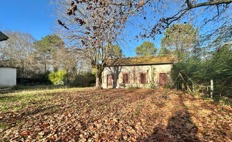 Charmante maison des années 1930 en pleine nature ! 2