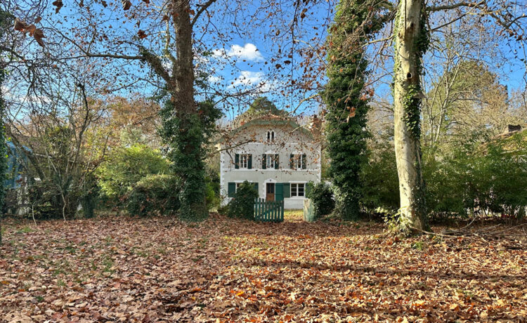 Charmante maison des années 1930 en pleine nature !